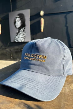 Boné Psilocybin Research Team